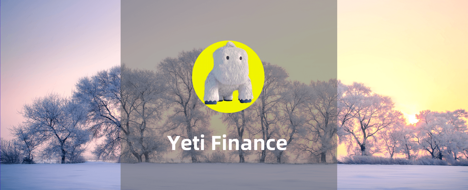 Yeti Finance：免息借入Avalanche上的整个投资组合