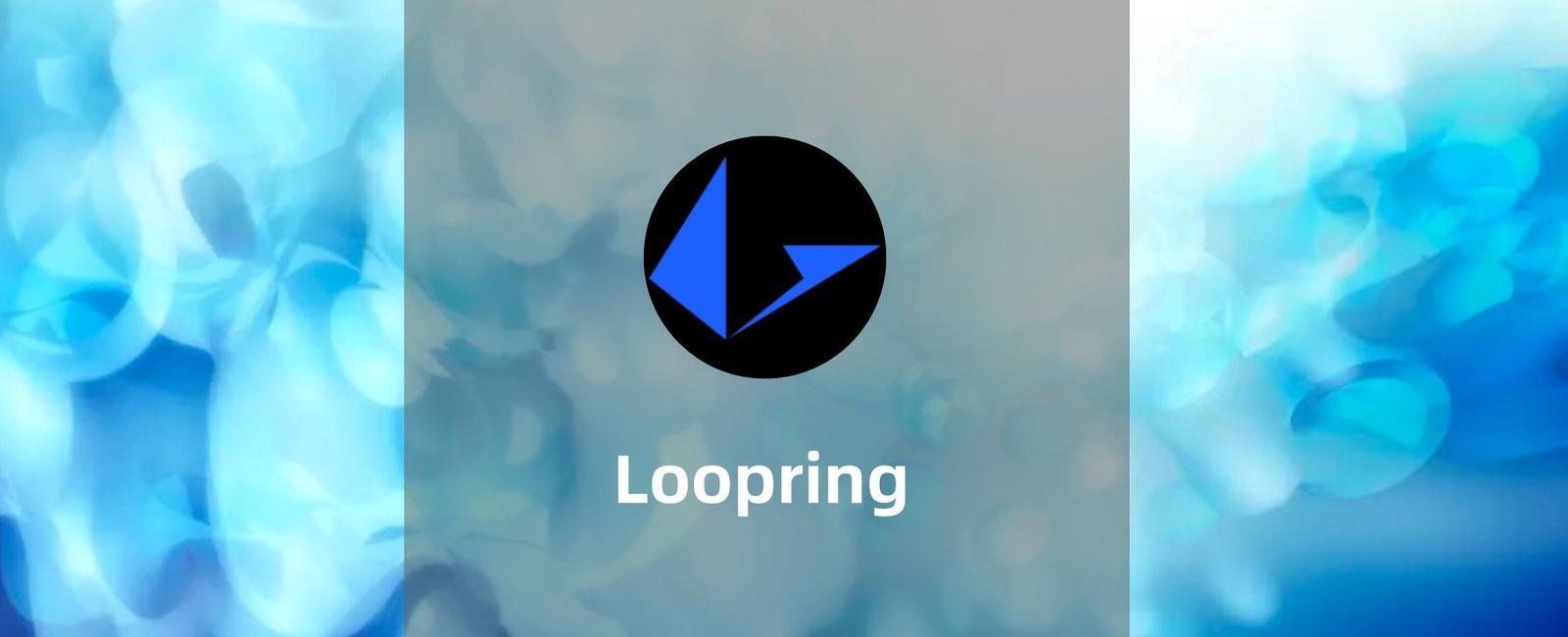 Loopring 交易所使用教程