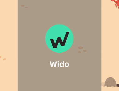 Wido-稳定币收益面板和跨链存取协议