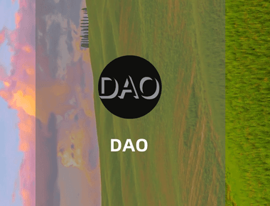 什么是DAO? 如何在DAO中工作？