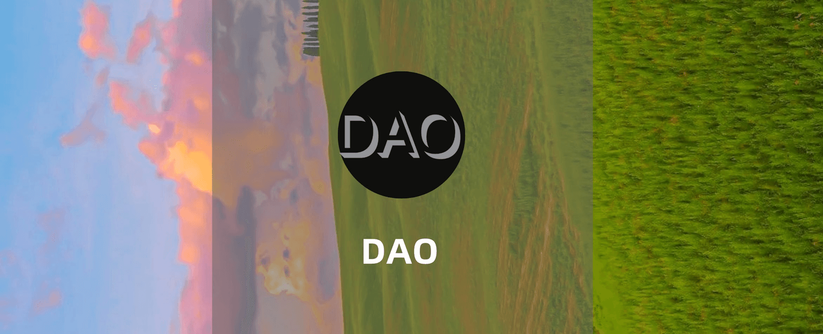 什么是DAO? 如何在DAO中工作？