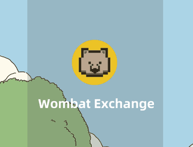 Wombat-创新型的稳定币兑换交易协议