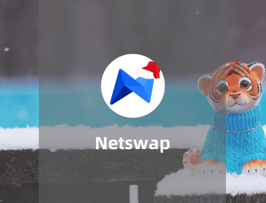 为何要因Netswap的出现而重新定位metis在layer2中位置。