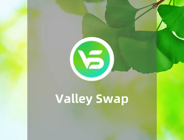  Valley Swap—Oasis上稳定币持续高收益神矿