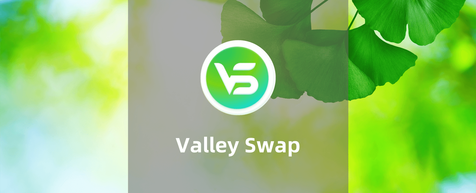  Valley Swap—Oasis上稳定币持续高收益神矿