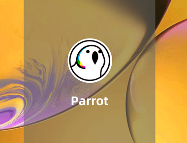 Parrot-SOL上的流动性整合与借贷协议教程