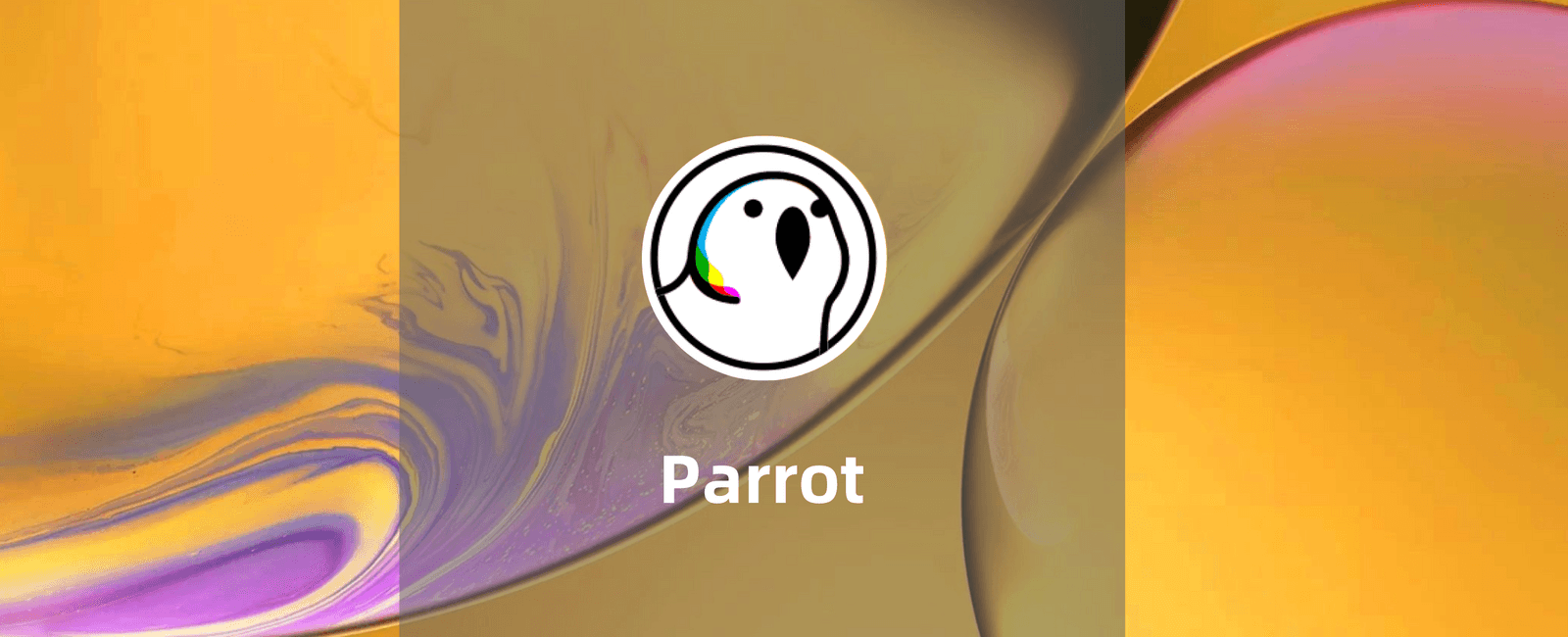 Parrot-SOL上的流动性整合与借贷协议教程