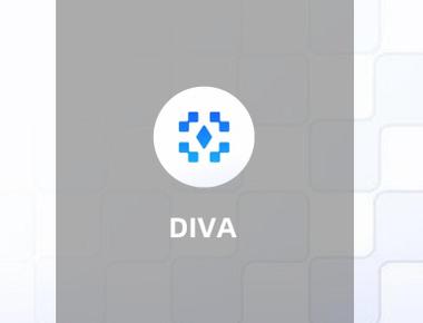 Diva- 专注于LSD与DVT相结合的流动性质押协议