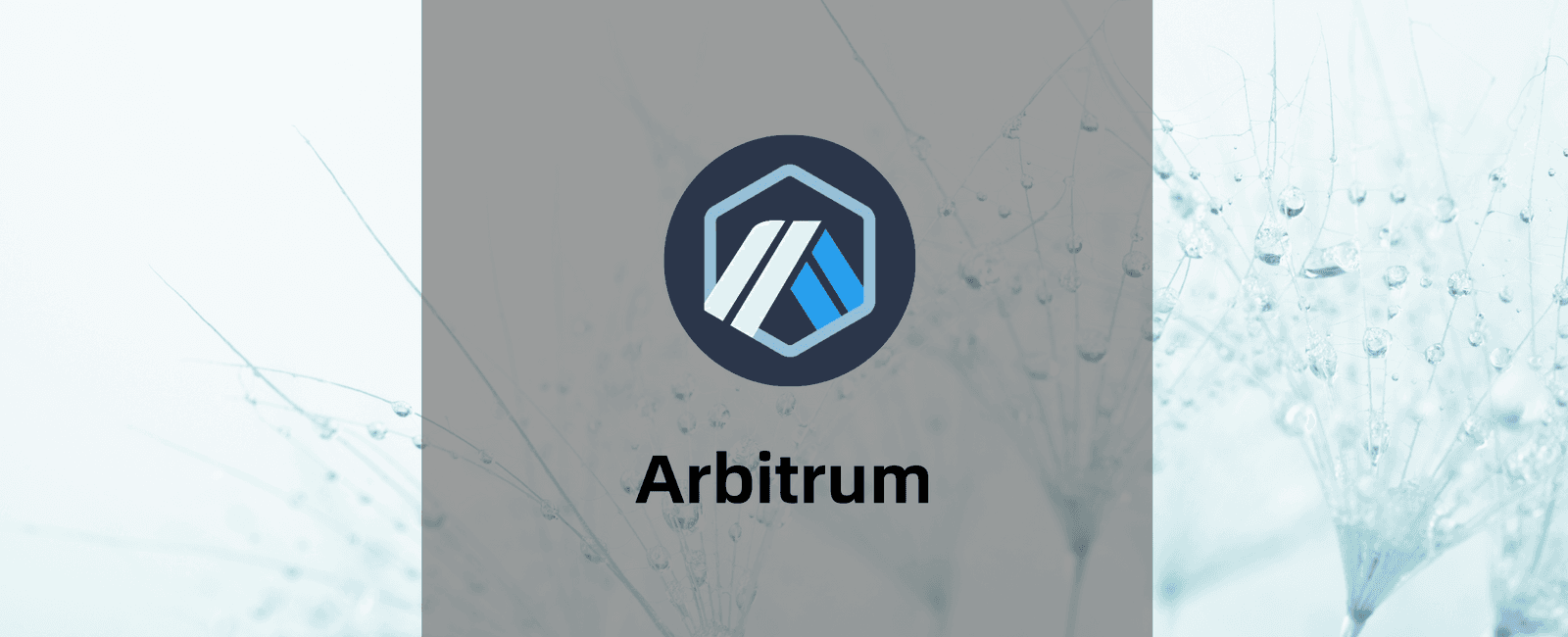 Arbitrum低成本跨链教程，以及Arbitrum项目介绍