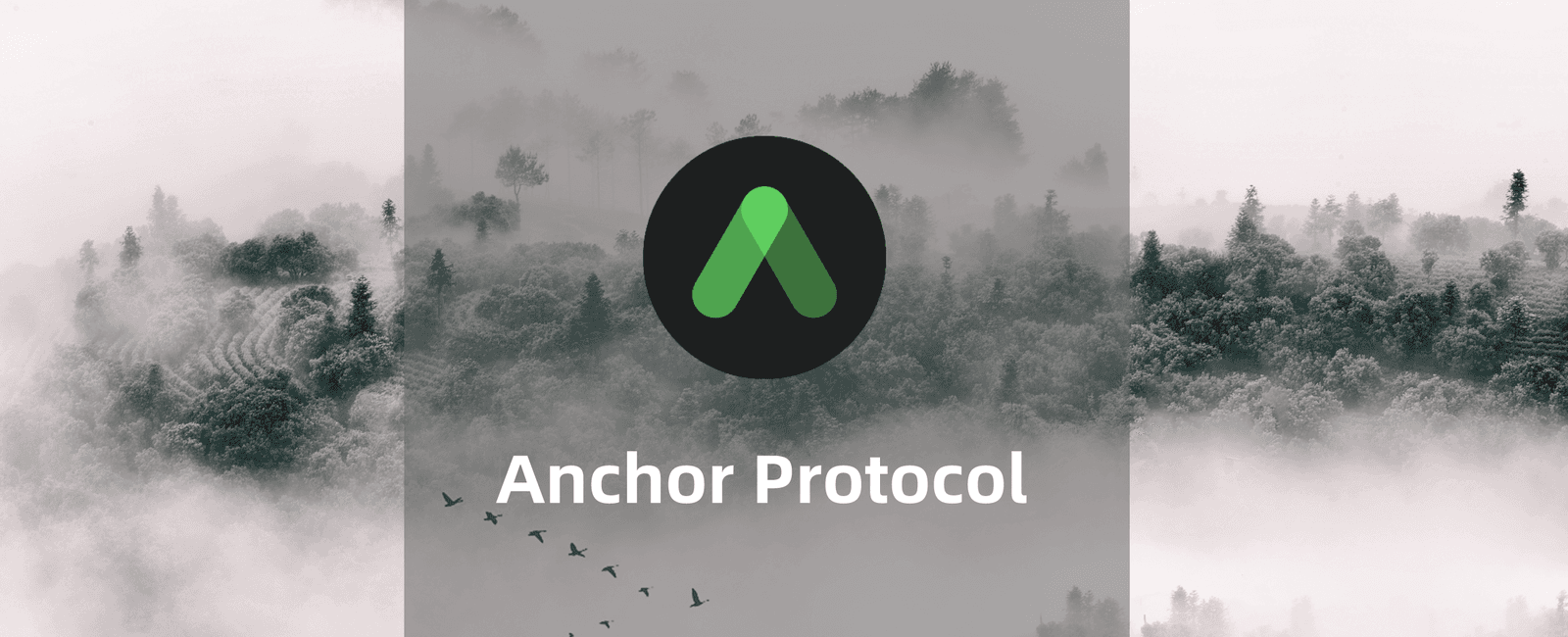 如何利用Anchor Protocol锚定协议赚取20%的稳定币年化报酬？